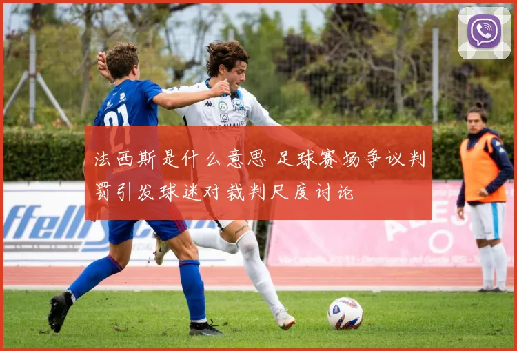 法西斯是什么意思 足球赛场争议判罚引发球迷对裁判尺度讨论