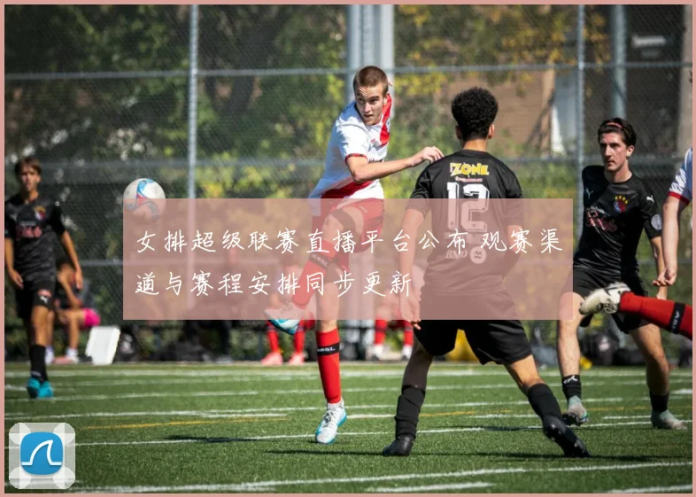 女排超级联赛直播平台公布 观赛渠道与赛程安排同步更新