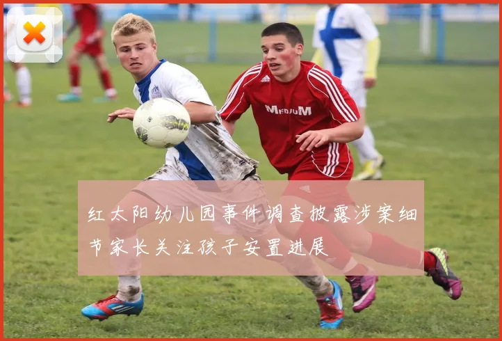 红太阳幼儿园事件调查披露涉案细节家长关注孩子安置进展