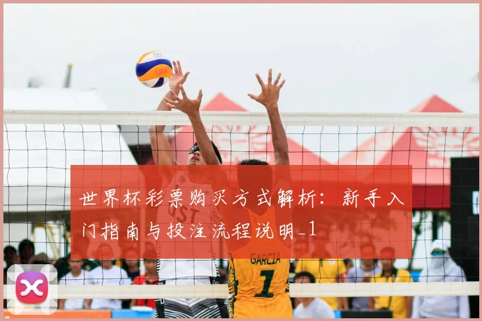 世界杯彩票购买方式解析:新手入门指南与投注流程说明_1