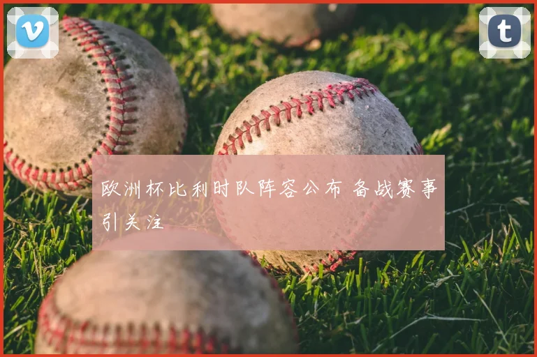 欧洲杯比利时队阵容公布 备战赛事引关注
