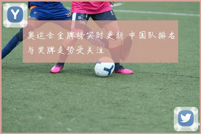 奥运会金牌榜实时更新 中国队排名与奖牌走势受关注