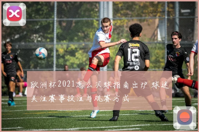 欧洲杯2021怎么买球指南出炉 球迷关注赛事投注与观赛方式