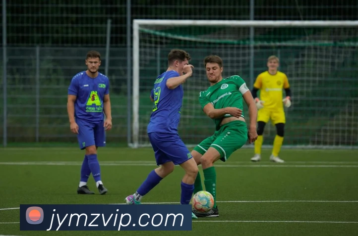 hth华体官方下载app品牌故事