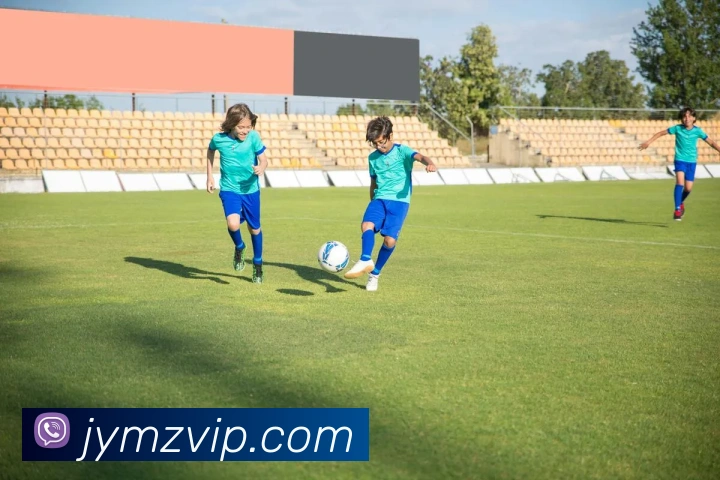 hth华体官方下载app服务体系