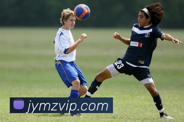 hth华体官方下载appAPP 体育赛事宣传图